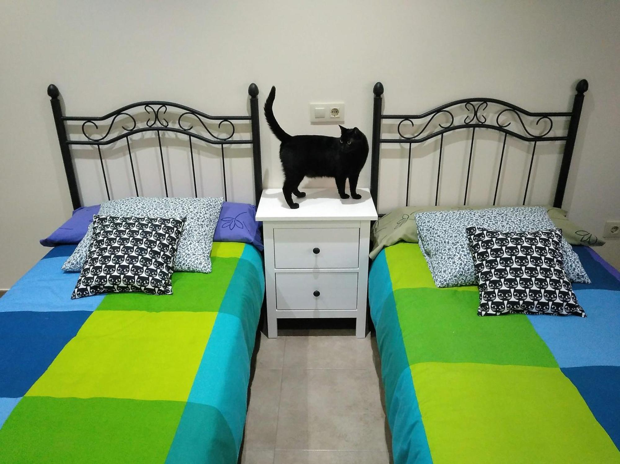 Casa Rural El Gato Negro Trefacio Eksteriør billede