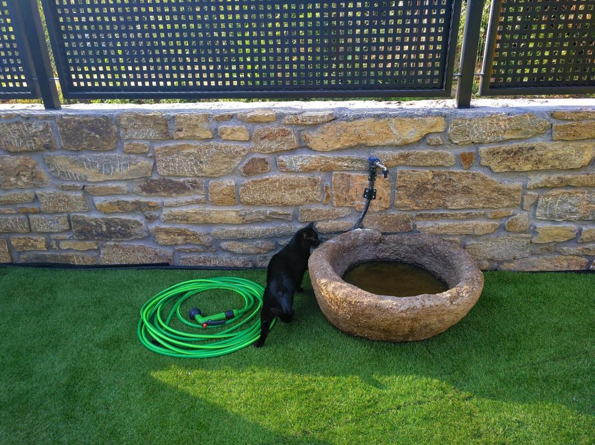Casa Rural El Gato Negro Trefacio Eksteriør billede