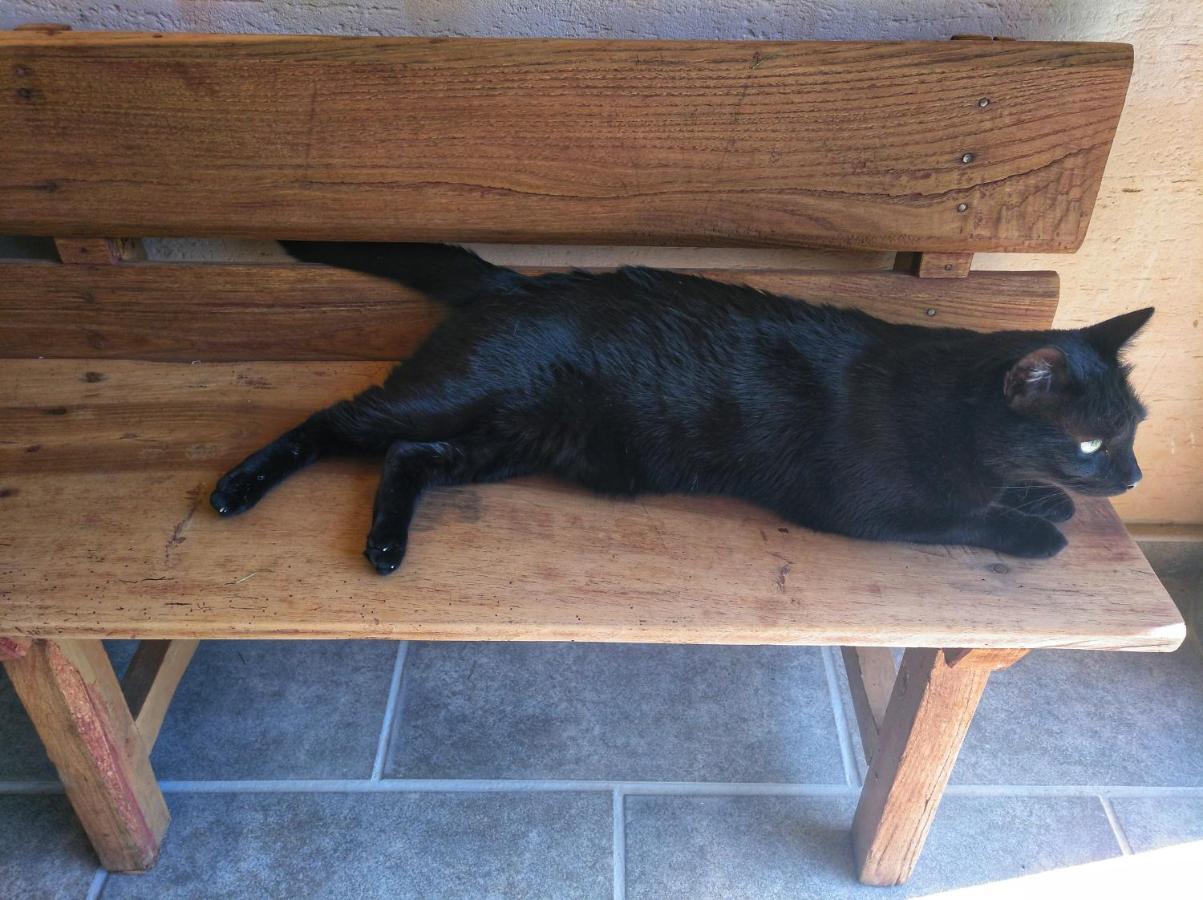 Casa Rural El Gato Negro Trefacio Eksteriør billede
